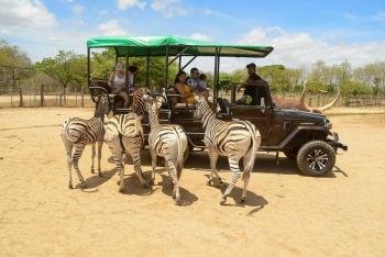 Tour de Safari, Guanacaste, Costa Rica photo